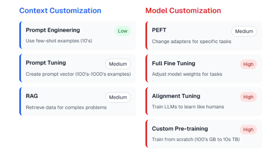 Cost Analysis on Input and Model Customization