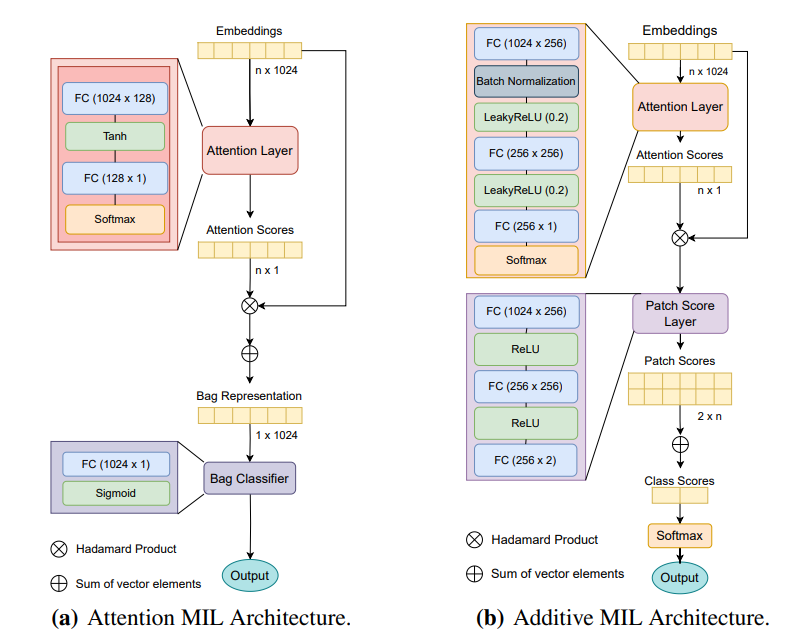 Figure 1: Models’ Architectures. The attention layers are composed of fully-connected (FC) layers, followed by activation functions. The AMIL (a) uses a tanh as its activation function, while the AdMIL (b) uses LeakyReLU. At the end of the attention layers, the results for each embedding are passed to a softmax to produce the final attention scores.