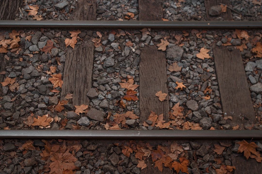 Railroad Infrastructure: How Evertrak is Leading the Way with Sustainable Materials