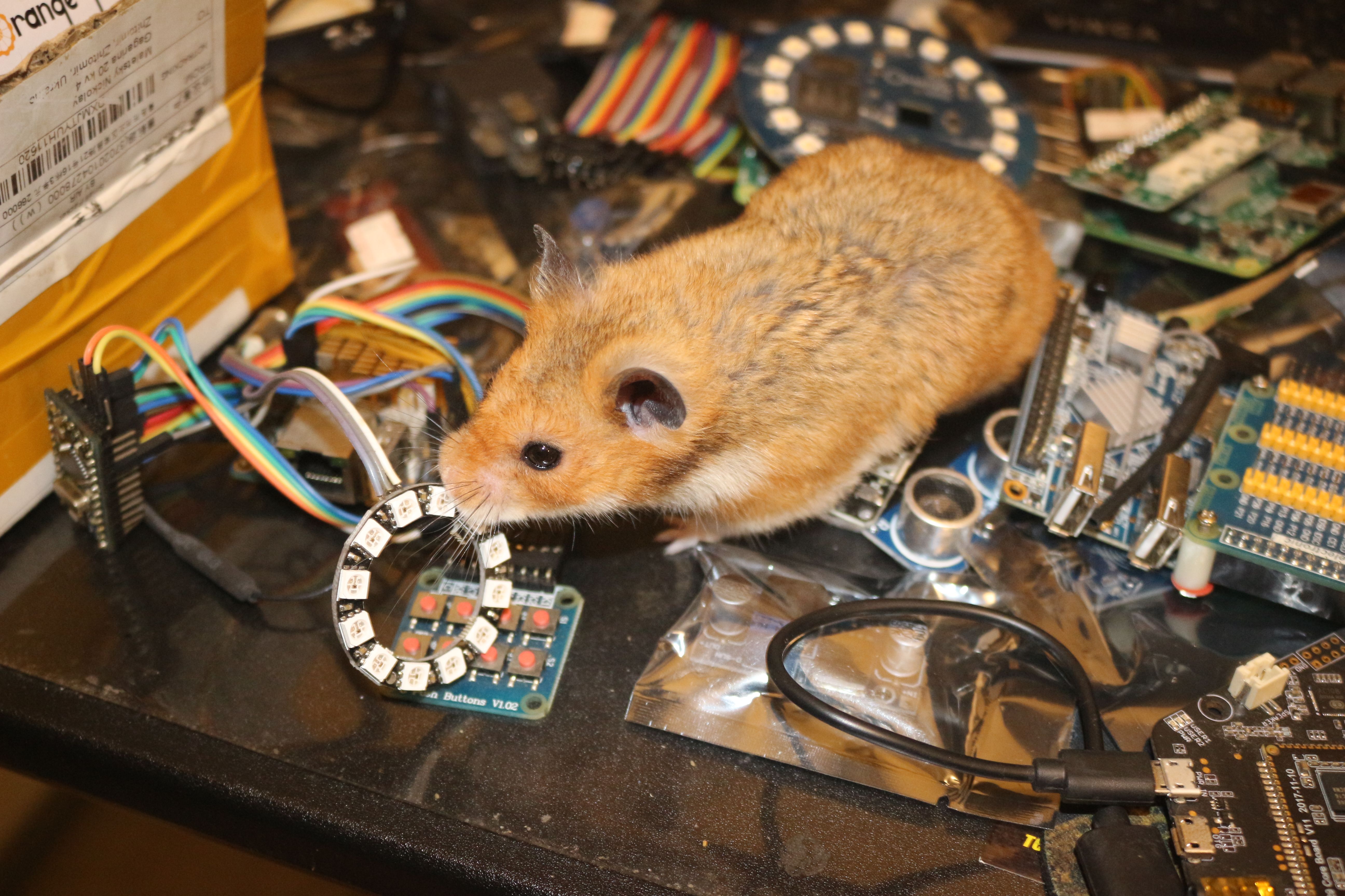 Prompts Are Overrated: I Built a Zero-Copy Fog AI Node Without Python (And It Hurt)