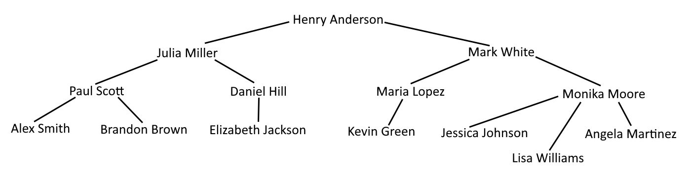 The hierarchical structure of the company