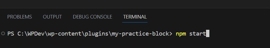 running npm start at the Visual Studio Code terminal