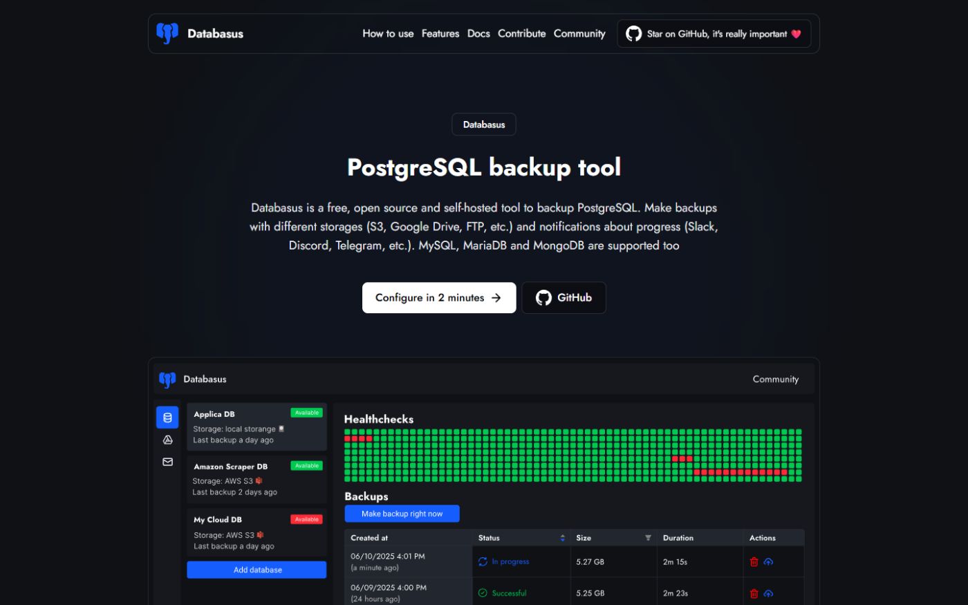 Databasus website after rename