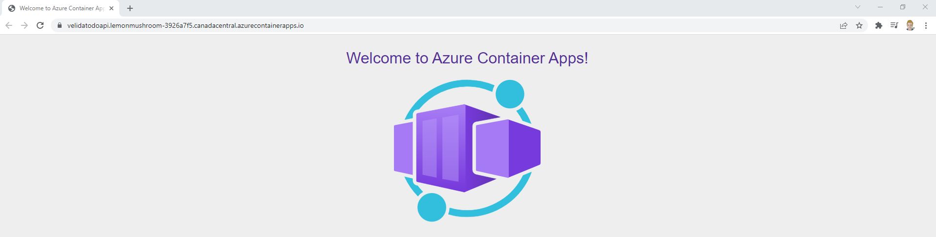 Создание и подготовка приложений контейнеров Azure с помощью Bicep