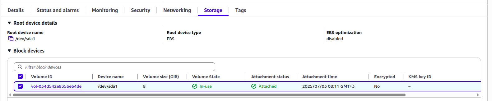 EC2 Instance Is Using Only the /dev/sda1 device