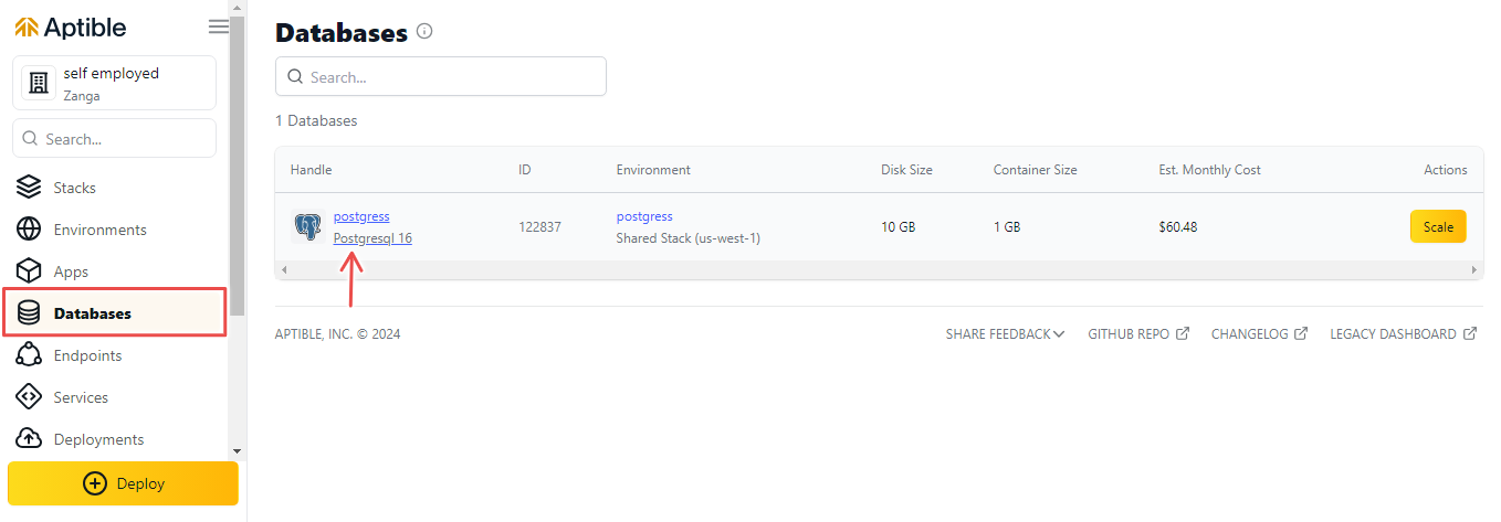 Figure 5: View the new PostgreSQL