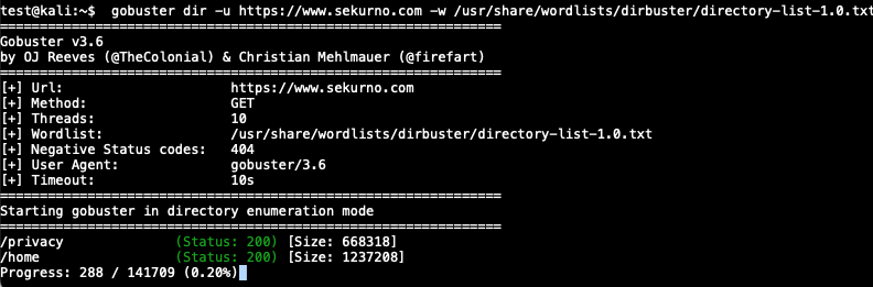  Directory enumeration with the gobuster tool for *www.sekurno.com*