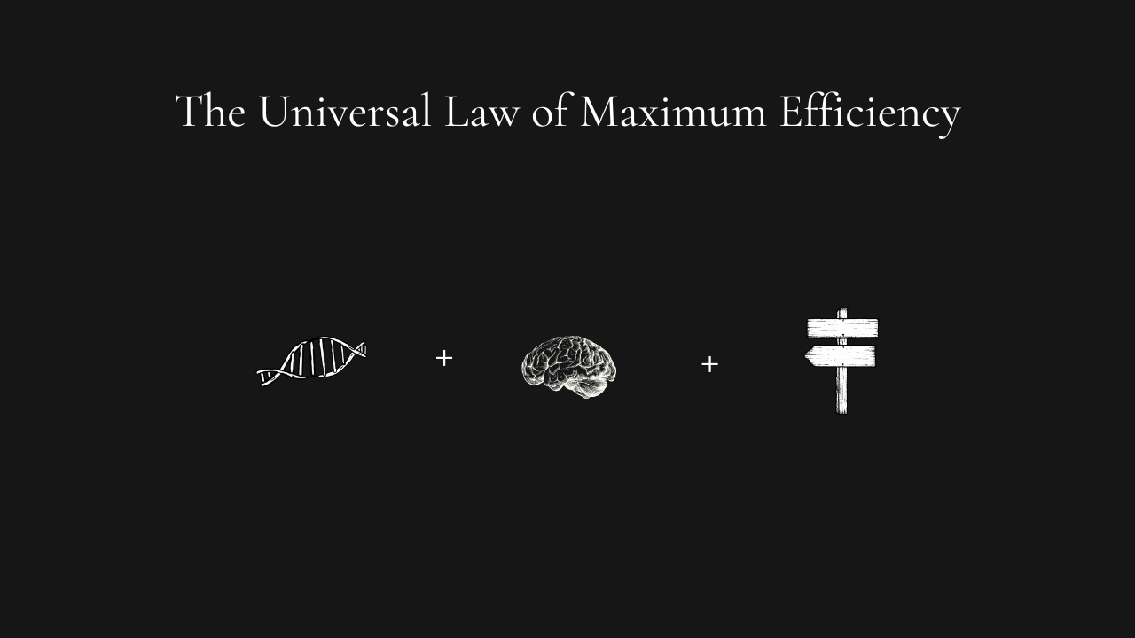 The Sweet Spot Is Just Below Burnout
