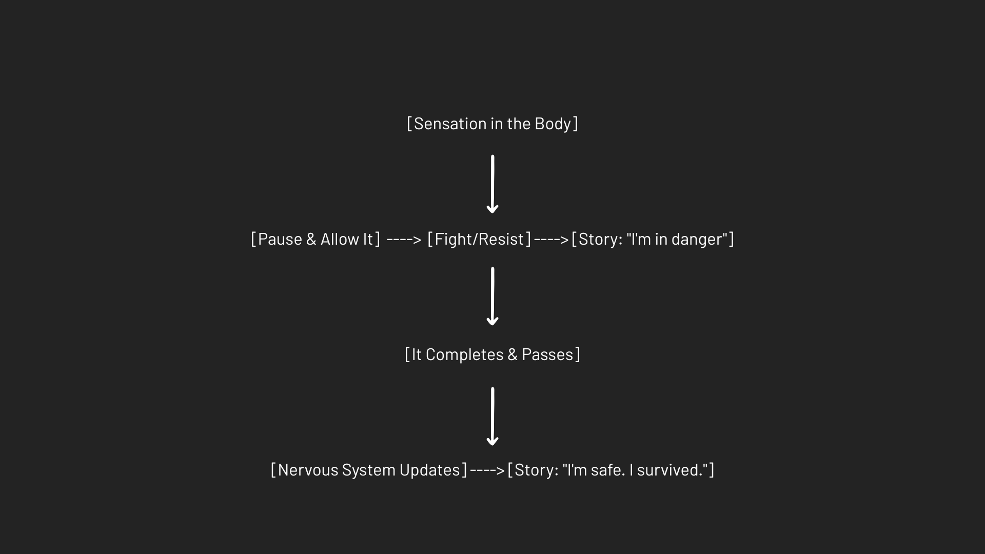 You have 3 brains, and 2 of them don't speak english.