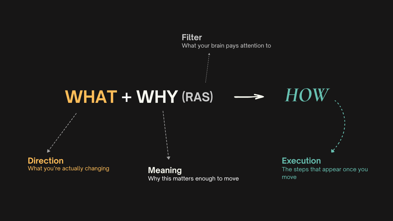 Momentum Has a Neuroscience