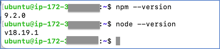 Check the node and npm versions after installed