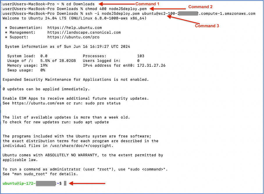 Connected your server thru terminal