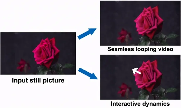Breathing Life into Still Photos: Exploring Neural Motion Textures