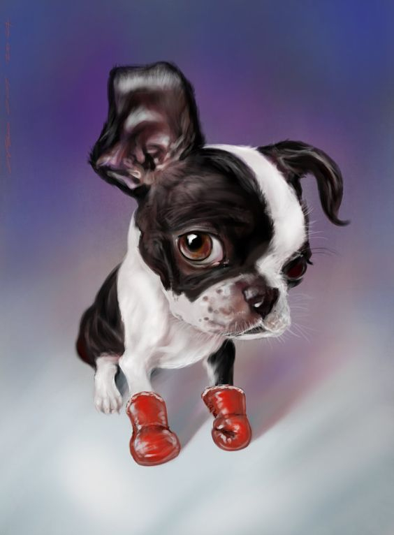 The Crypto Update for Jan 2024:  The Year of the Dragon with Bitcoin on Wall Street