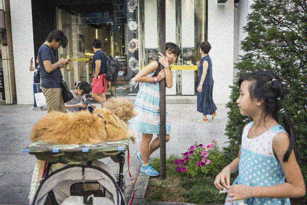 A high level of noise, similar to that in early digital cameras