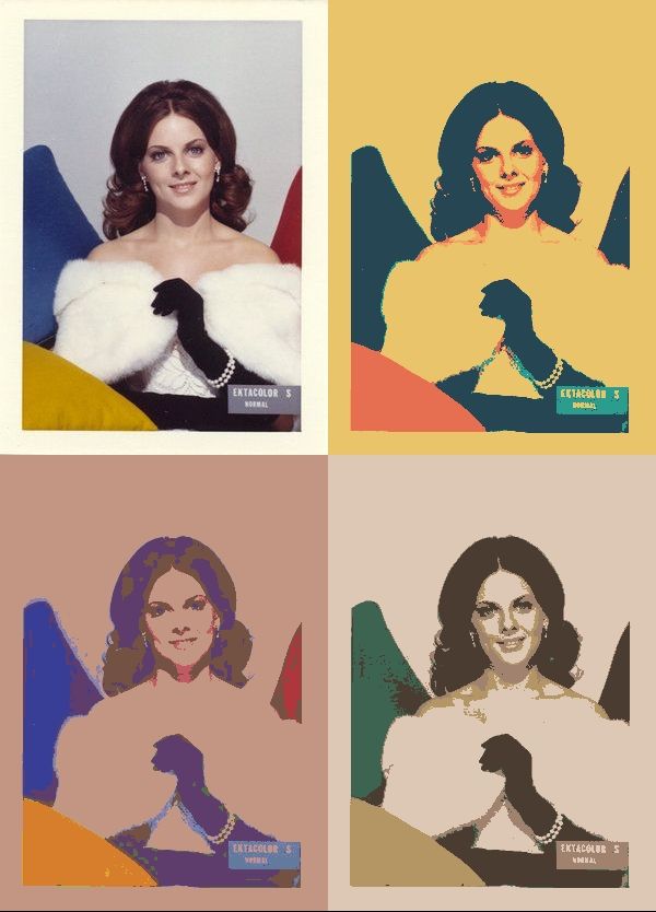 We applied Teal & Orange, Sepia, and ColorChecker Classic palettes to a classic Shirley card