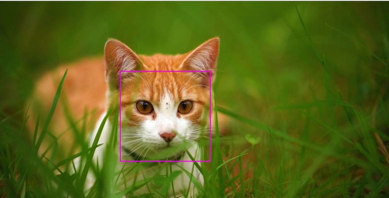 Creating Computer Vision Apps Without Building Media Pipelines