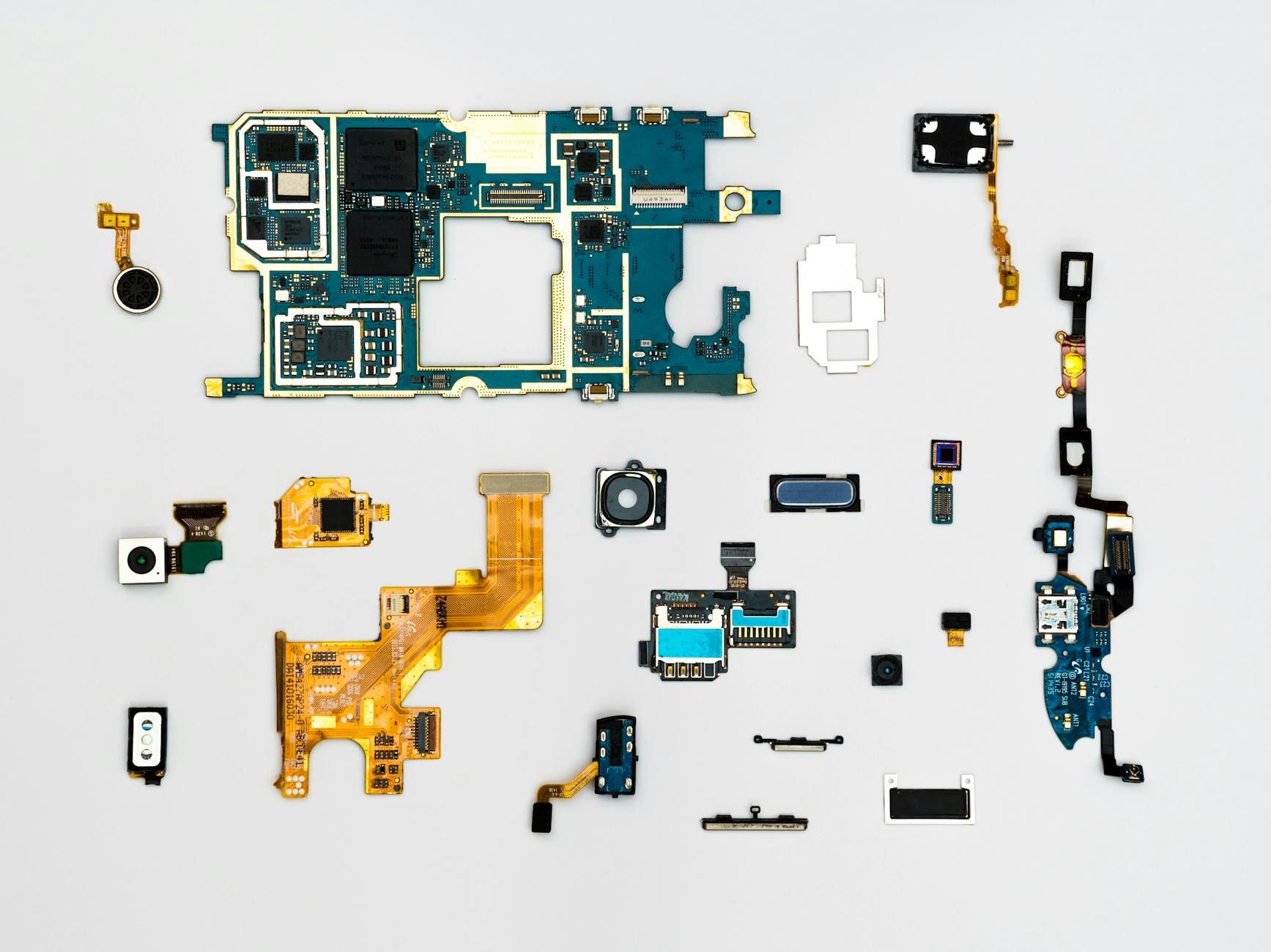 Beyond Static Ranks: The Power of Dynamic Quantization in LLM Fine-Tuning