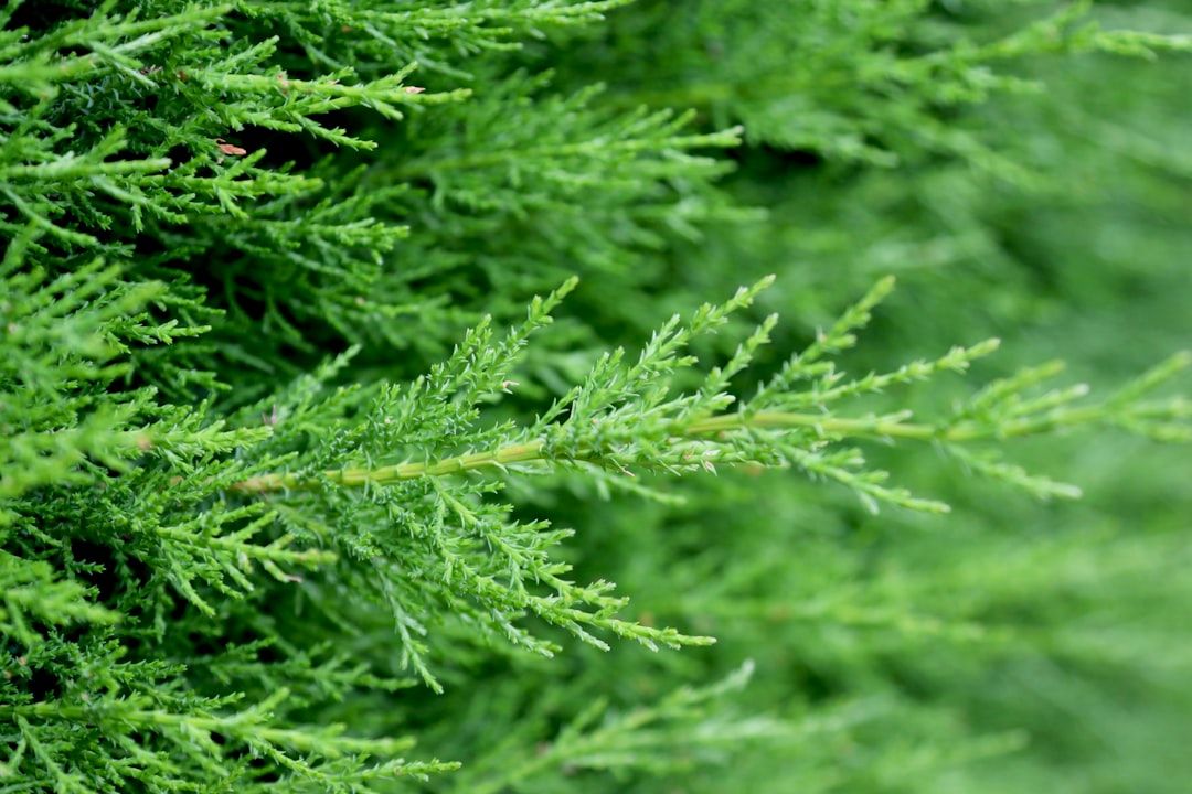 Don't Just Train Your AI, Re-Train It: The Weekly Workout Plan for a Smarter Option Hedge