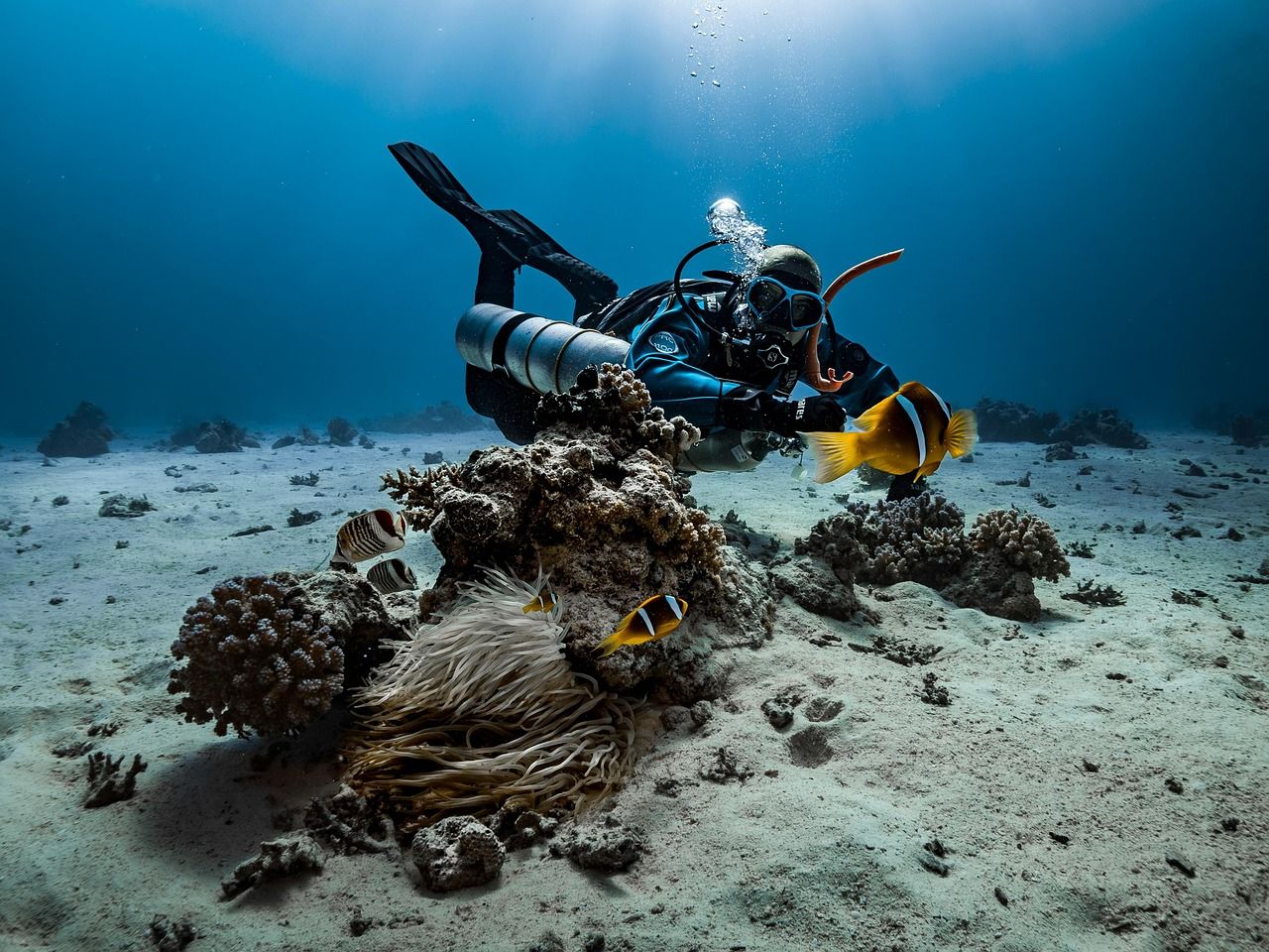 Scaling the Depths: Oceananigans Achieves Record-Breaking Climate Simulation Performance