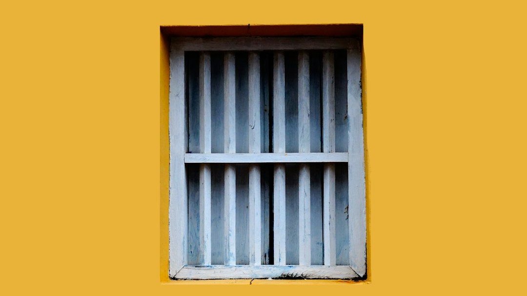 One Image to Rule Them All: The Jailbreak That Outsmarts Multimodal AI