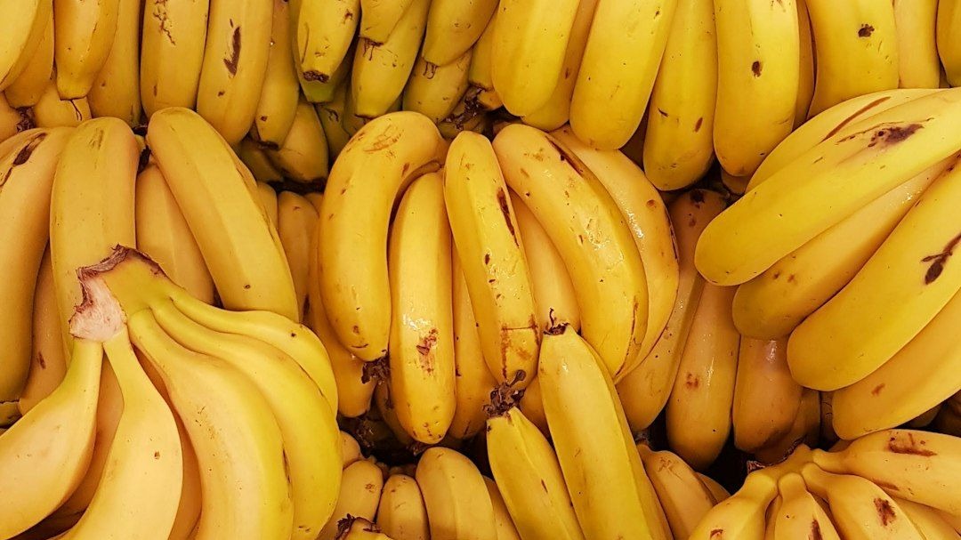 From One Banana to Billions: Testing PCIC’s Predictive Powers