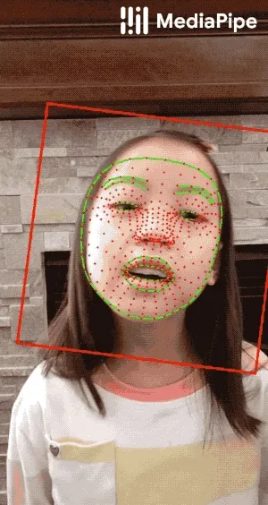 Face landmarks: the red box indicates the cropped area as input to the landmark model, the red dots represent the 468 landmarks in 3D, and the green lines connecting landmarks illustrate the contours around the eyes, eyebrows, lips and the entire face. Source: https://mediapipe.dev/images/mobile/face_mesh_android_gpu.gif