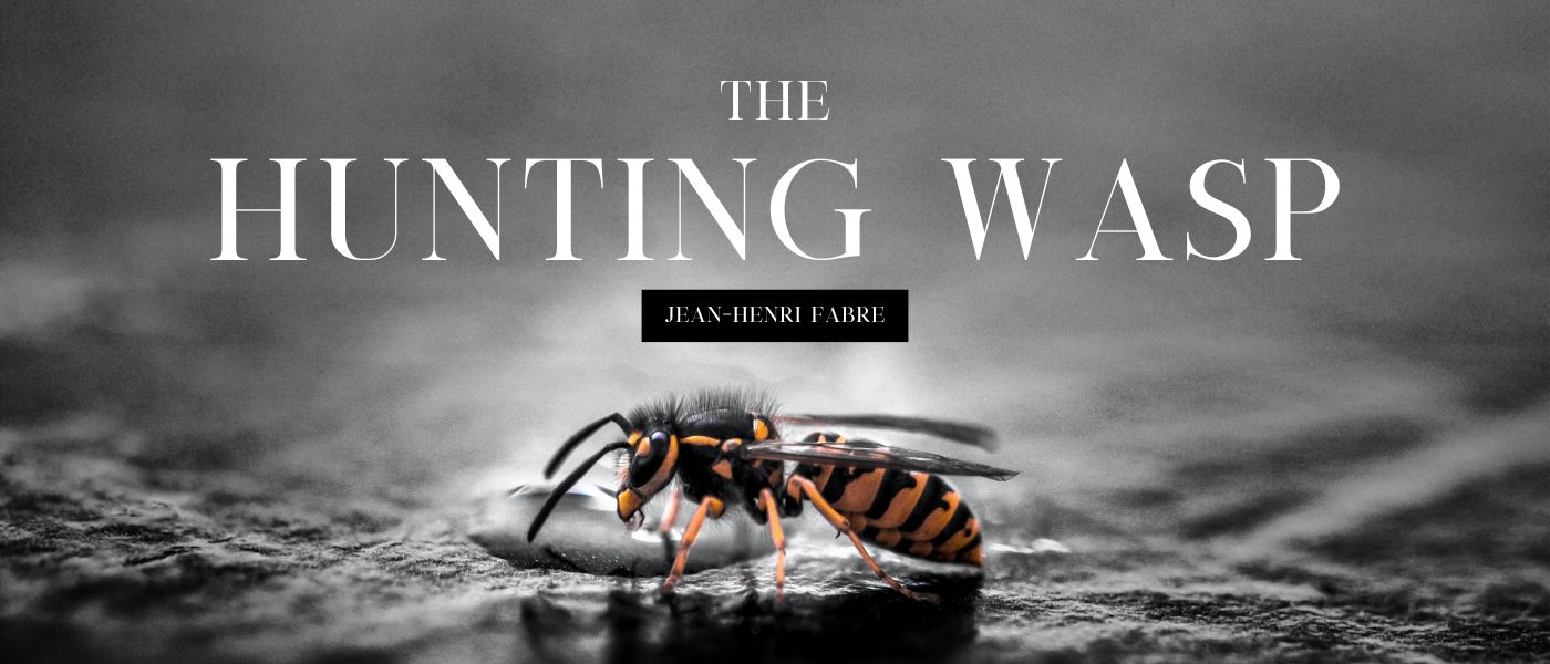 The Hunting Wasps by Jean-Henri Fabre - Table of Links