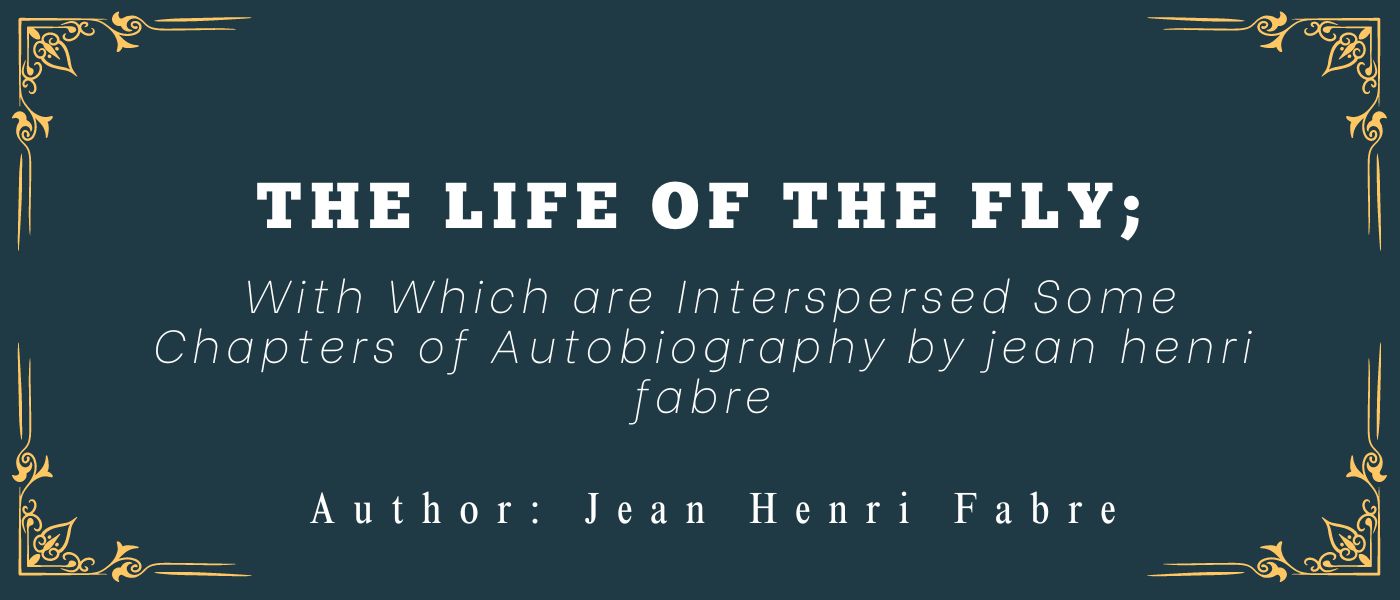 The Life of the Fly; With Which are Interspersed Some Chapters of Autobiography by Jean-Henri Fabre 