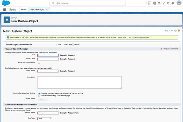 Custom Object in Salesforce