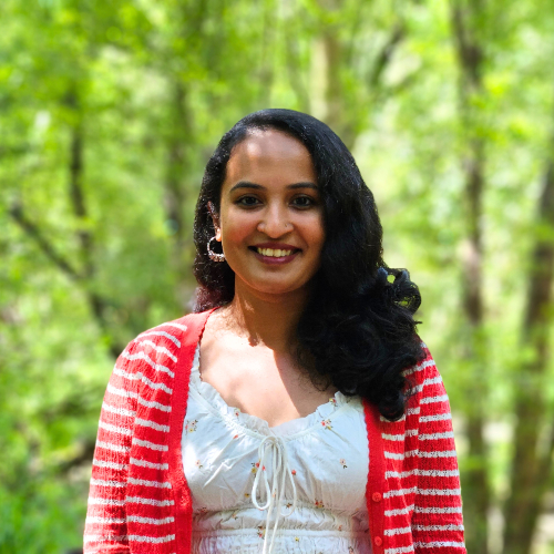 Author profile picture