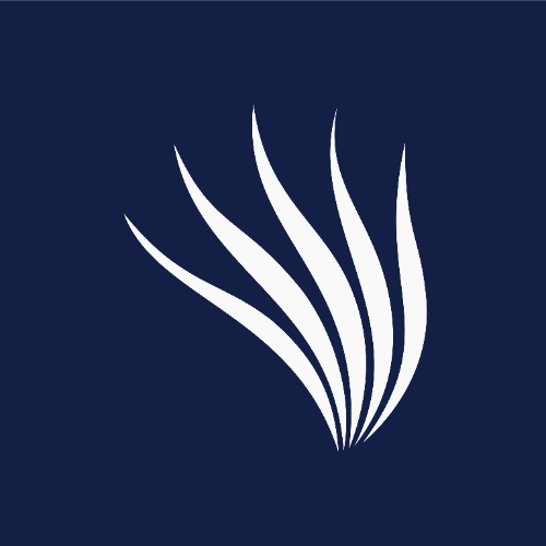 kelpdigital logo