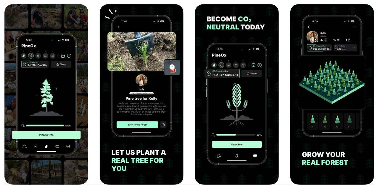 Tech-Driven Tree Planting: How PineOx Moves Beyond Traditional Methods