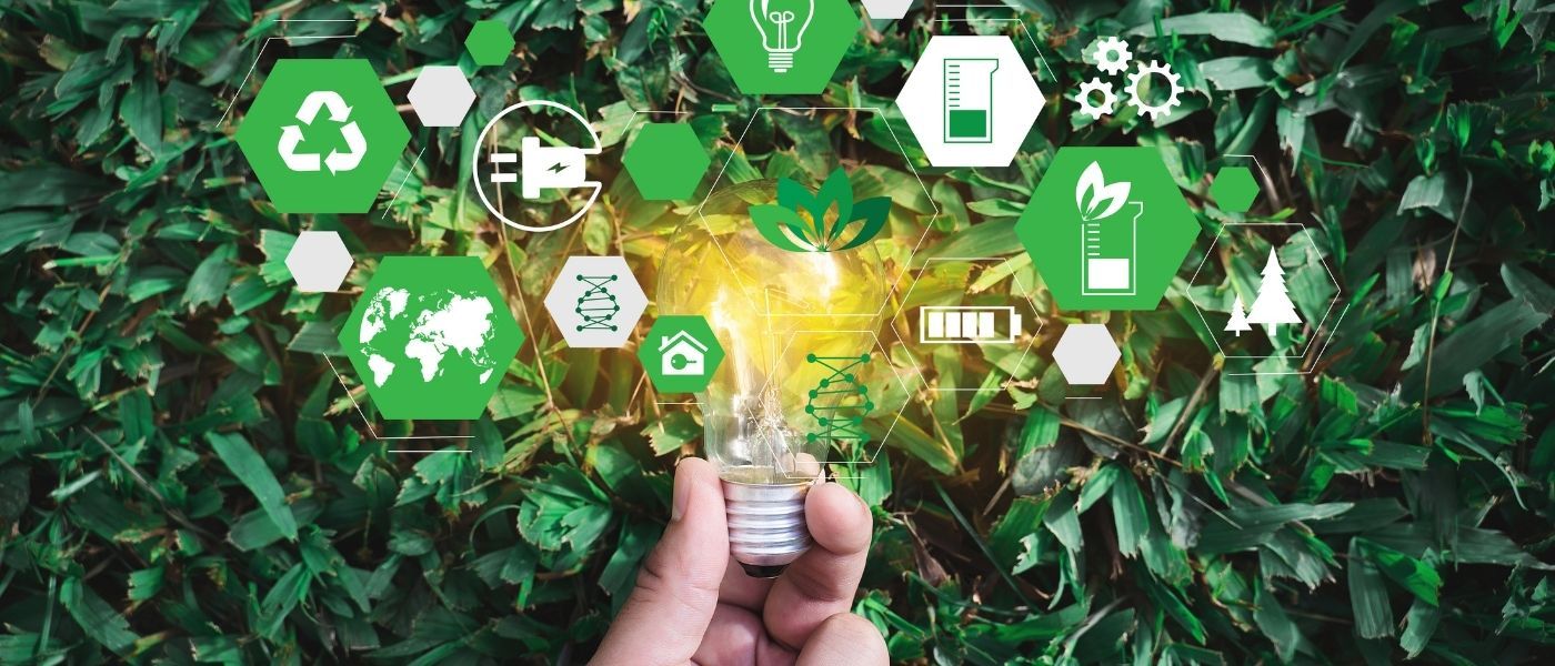 10 Eco-Friendly Business Ideas for Sustainability-Minded Startups