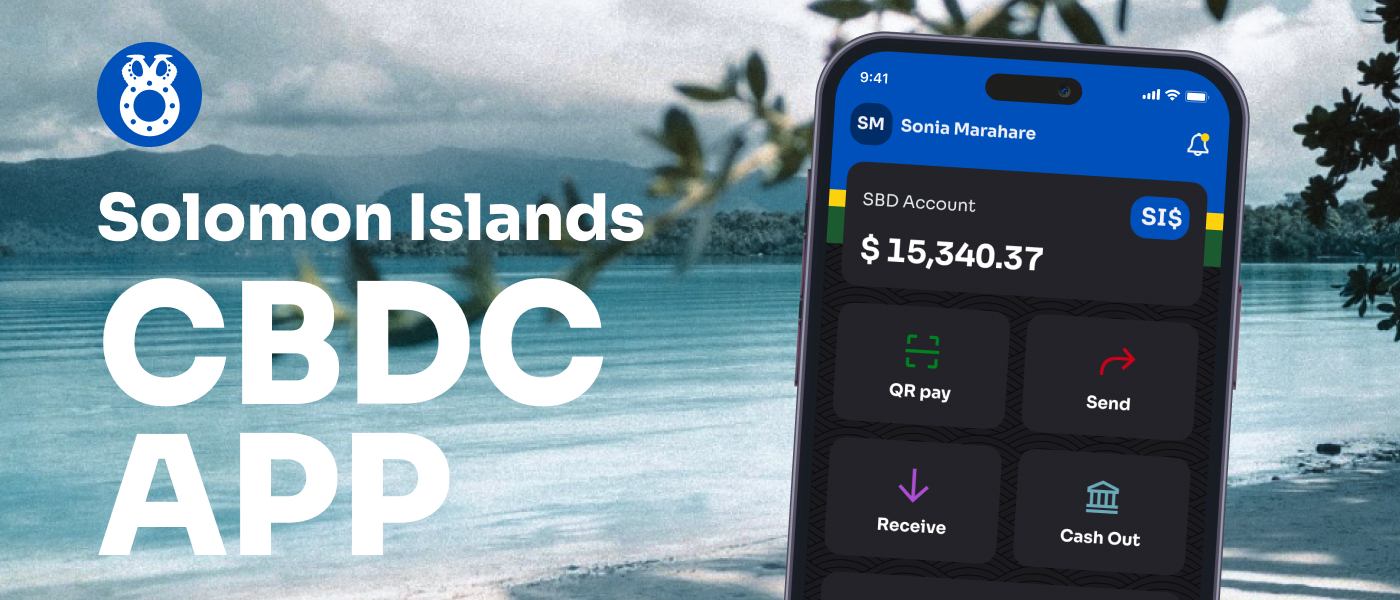 Building a User-Friendly Interface for Central Bank Digital Currency Applications: A Case Study 