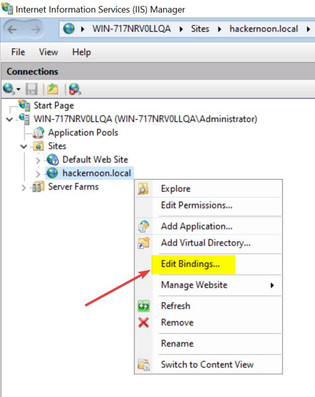 You can add hostnames to your portal by using IIS Bindings