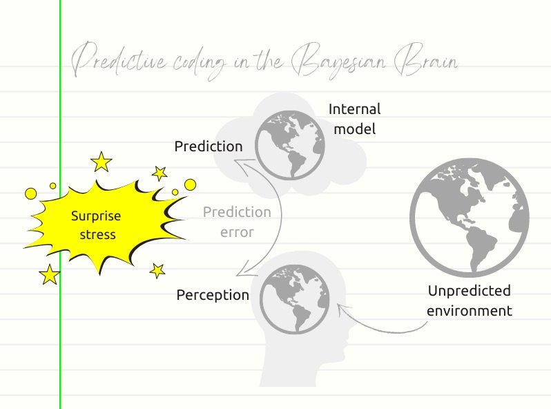 Bayesian Brain: Is Your Brain a Data Scientist? | HackerNoon