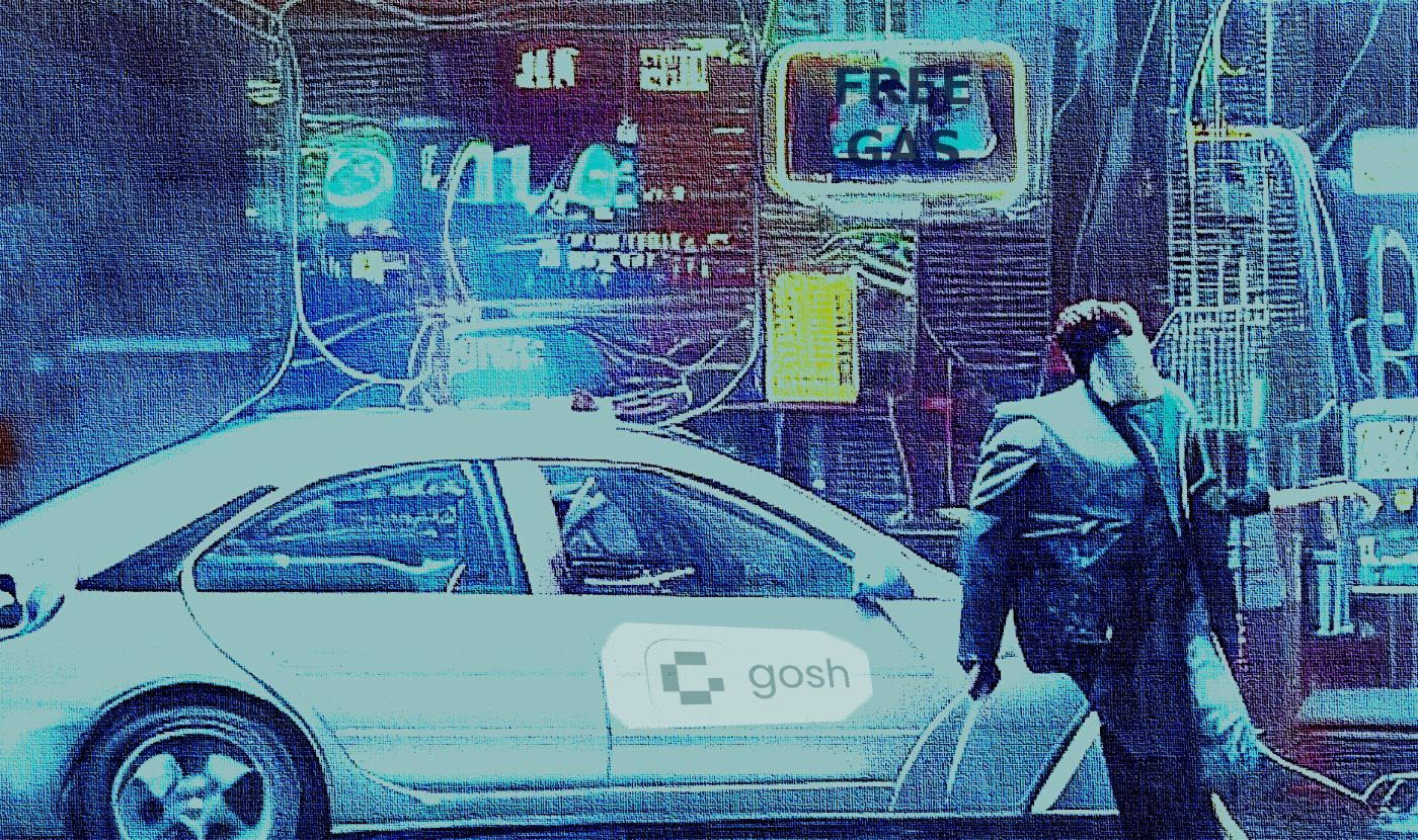 GOSH!: Another Fancy Crypto Toy, or a Revolution?