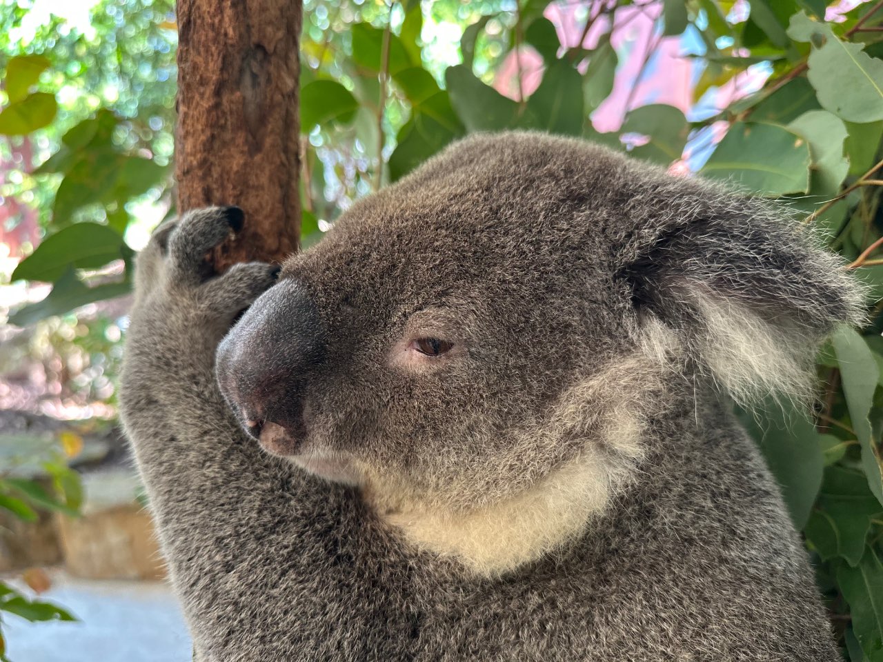 I Finally Made It to YOW!