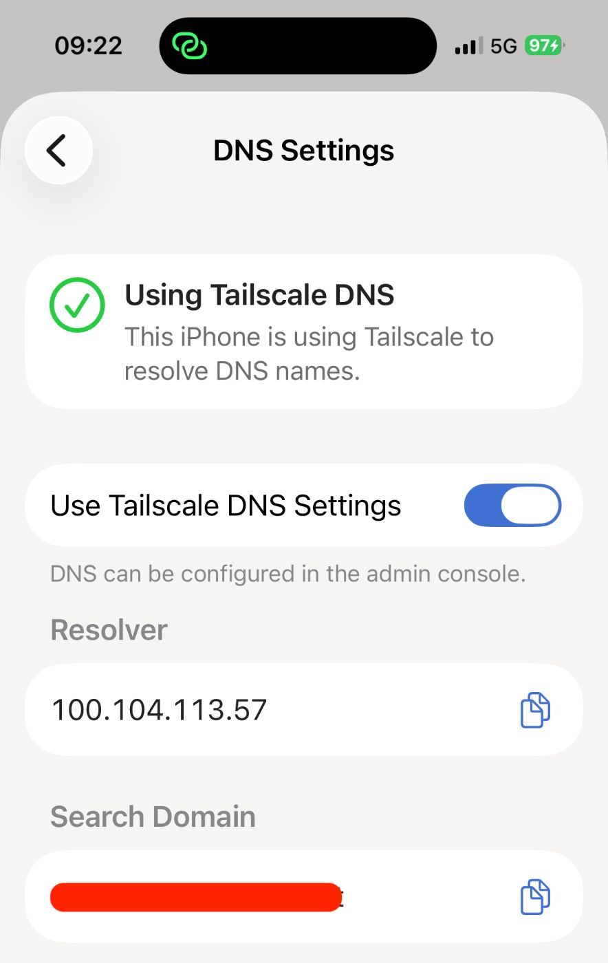 DNS settings screen on the client iPhone