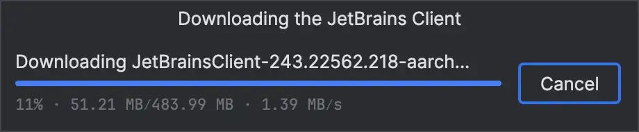 Downloading the JetBrains client