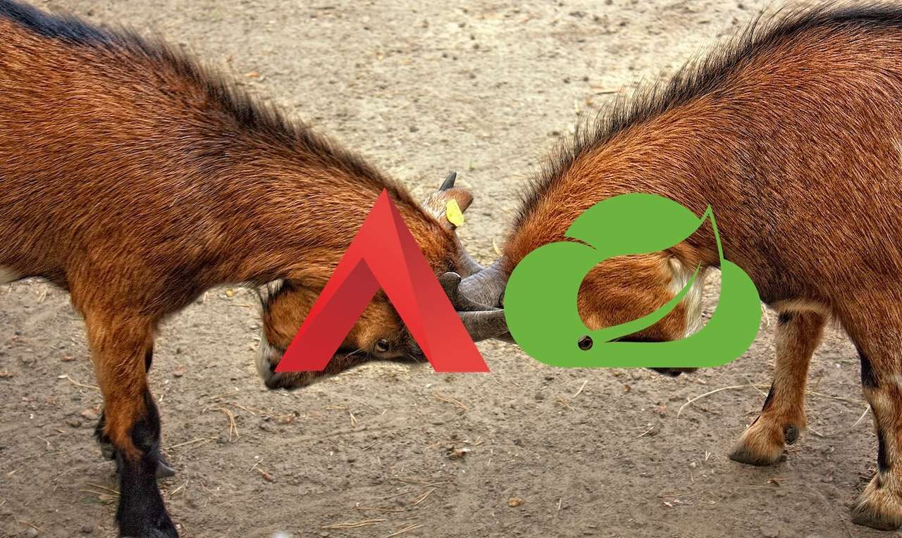 Apache APISIX vs. Spring Cloud Gateway