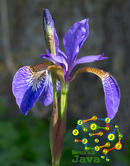 How To Craft A Deep Learning Model in Java (Without Sorcery, aka Frameworks)