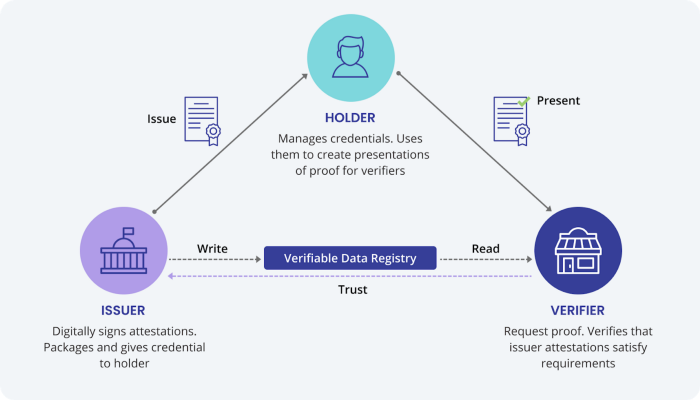 What are Verifiable Credentials - Affinidi