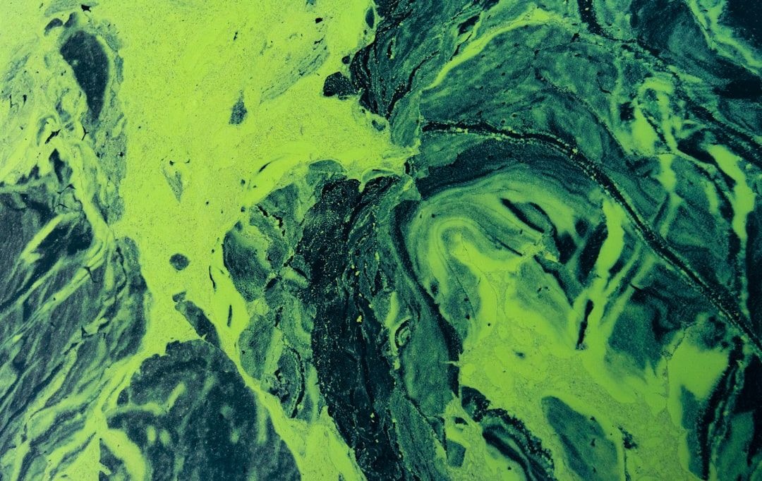 Detecting Harmful Algal Blooms: Building CNNs for Satellite-Based Edge Computing