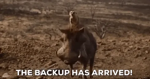 Web3 Backups for All Stories and Other HackerNoon Updates!