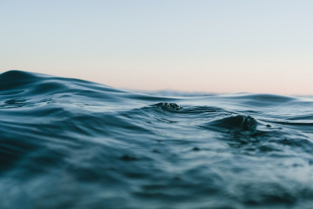 pyParaOcean, A System for Visual Analysis of Ocean Data: Acknowledgments and References