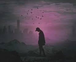 Author profile picture